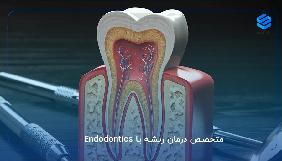 متخصص درمان ریشه یا Endodontic